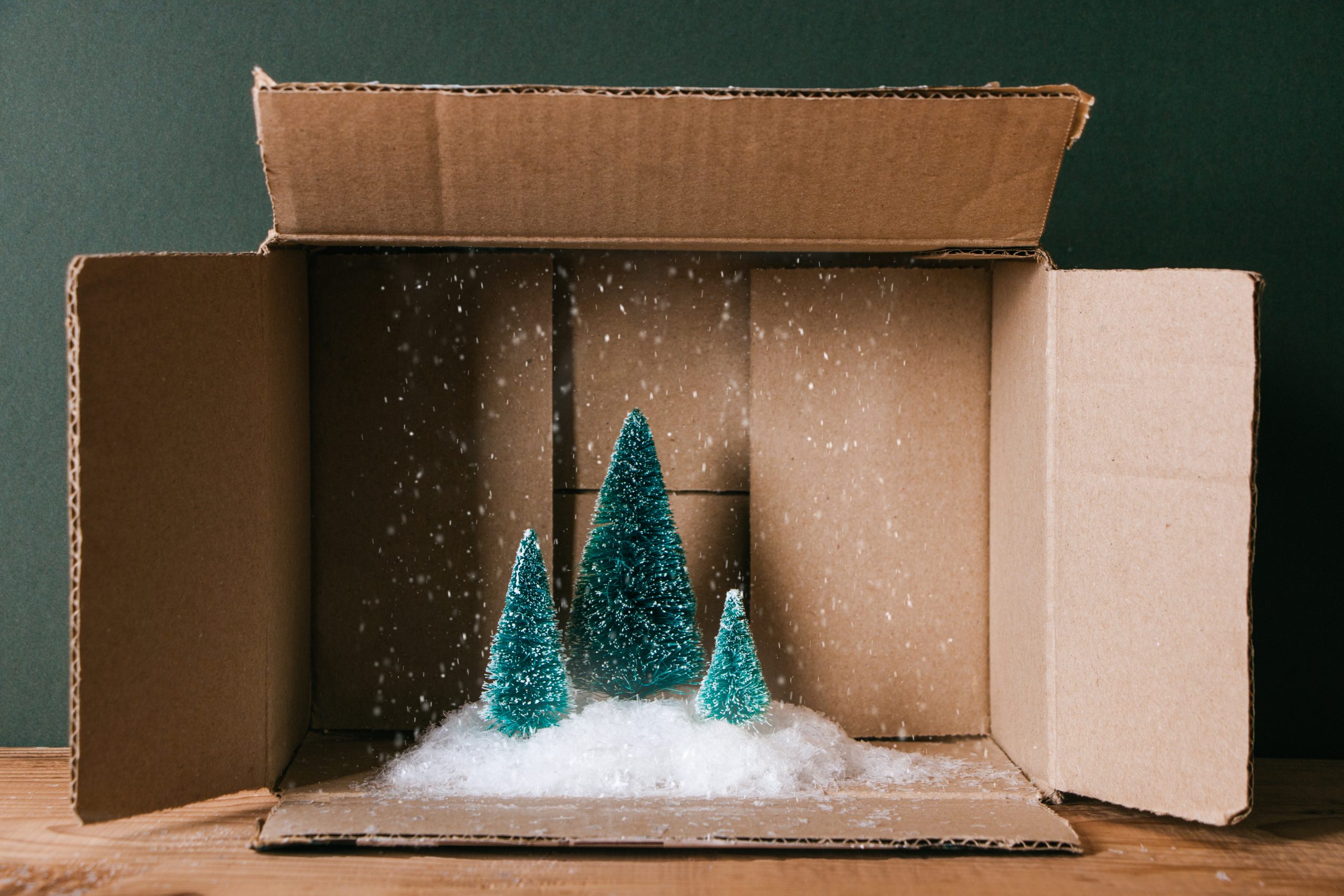 Miniature Of Christmas Trees With Snow In A Cardboard Box.